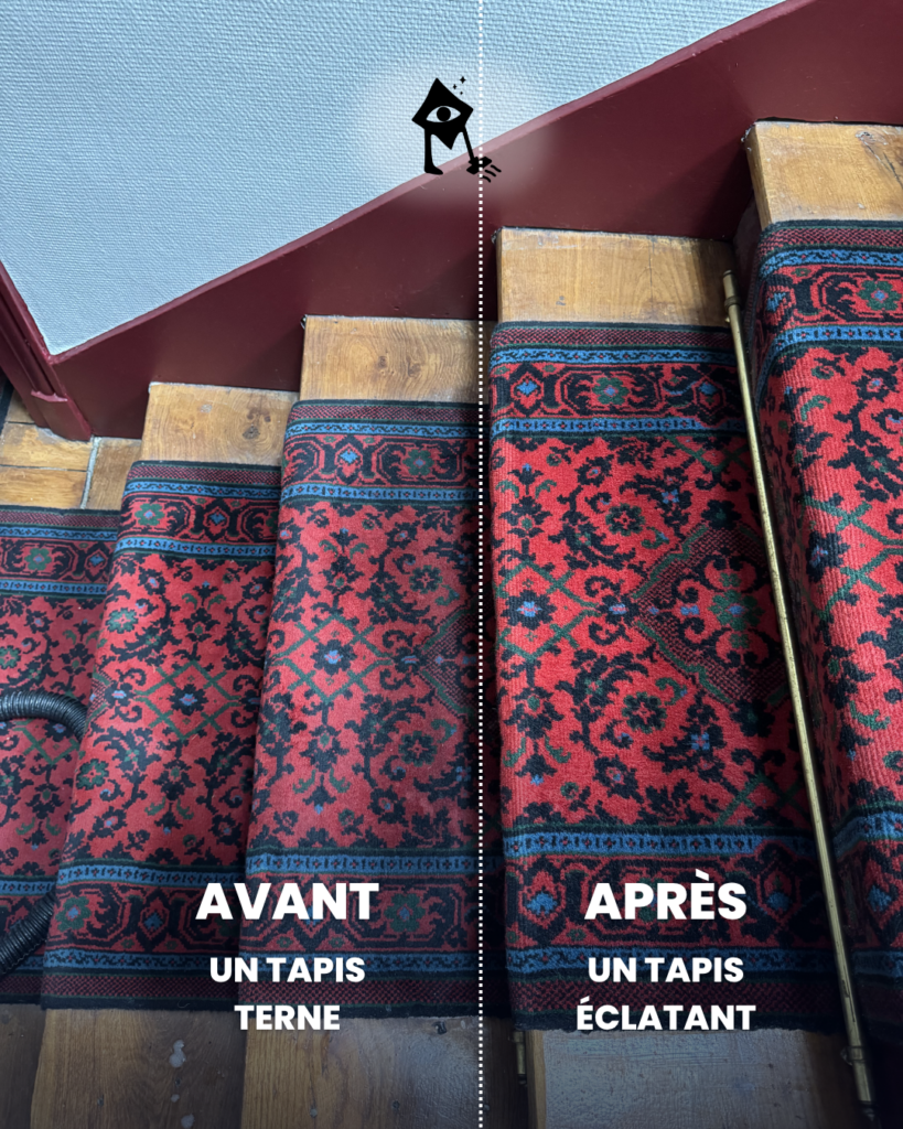 nettoyage tapis escalier copropriété Paris Île-de-France - intervention professionnelle parties communes